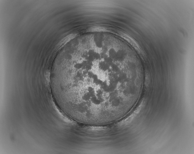 X0000110890849200907021516