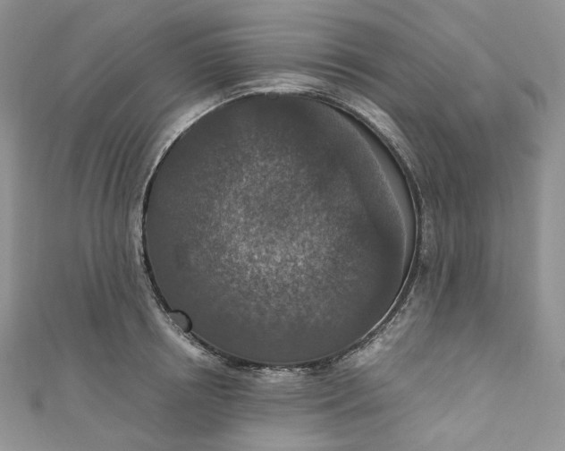 X0000110890850200907021516