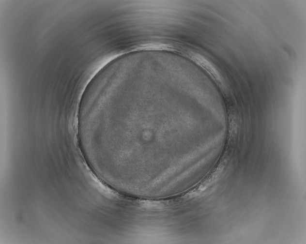 X0000110890852200907021516