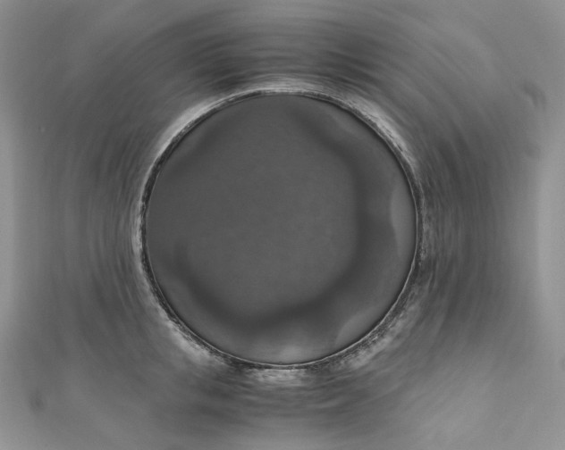 X0000110890853200907021516