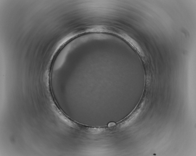 X0000110890854200907021516