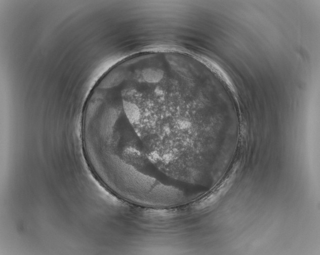 X0000110890855200907021516