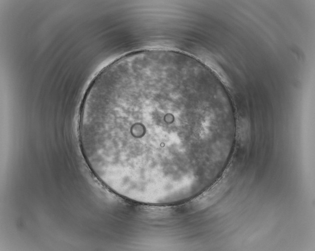 X0000110890856200907021516