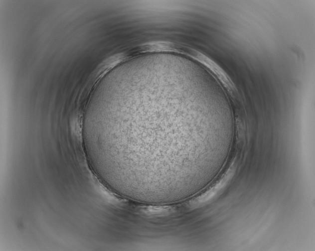 X0000110890857200907021516