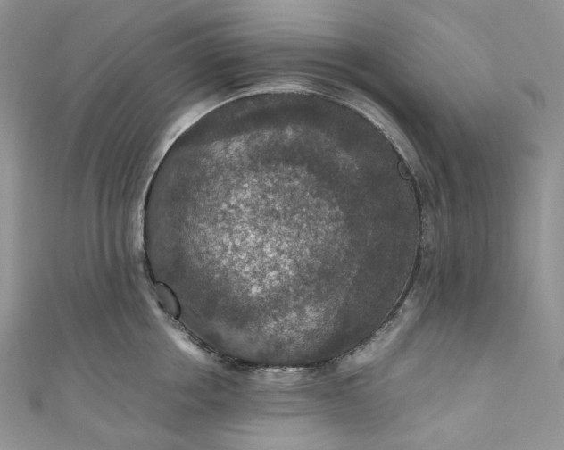 X0000110890858200907021516