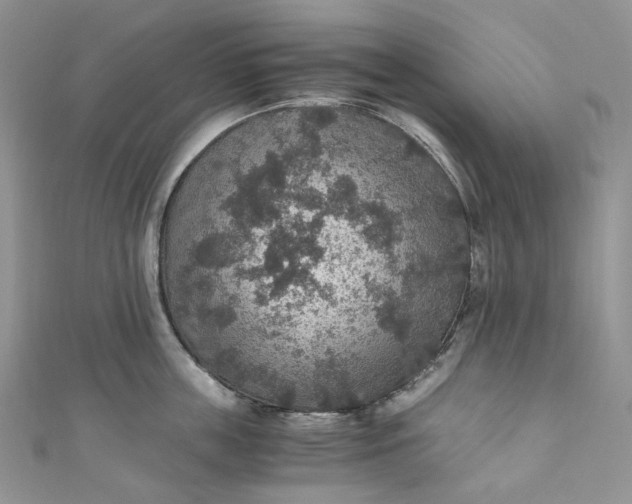 X0000110890859200907021516