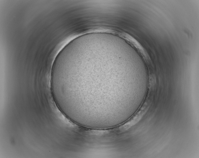 X0000110890860200907021516