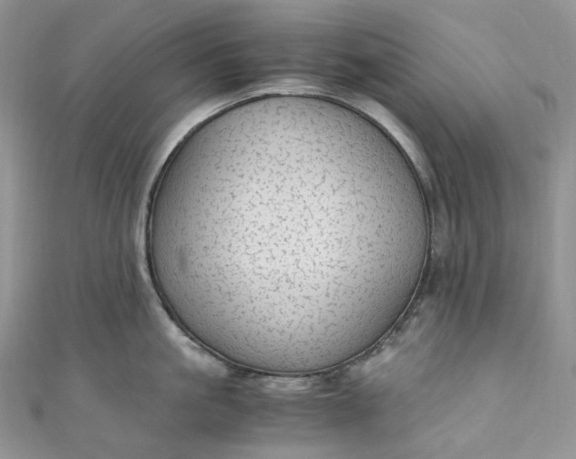 X0000110890861200907021516