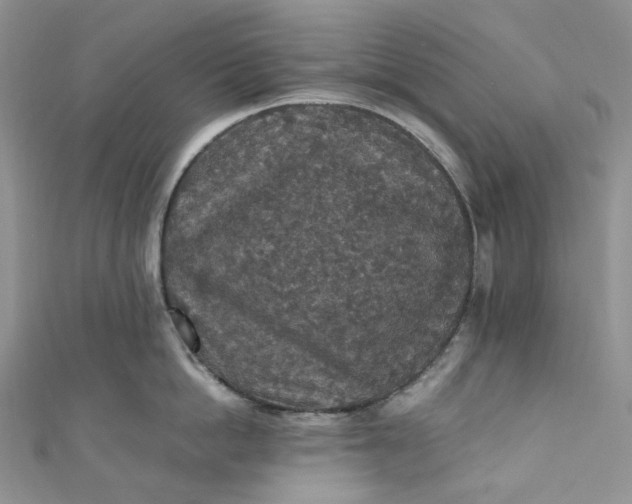 X0000110890862200907021516