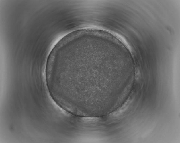 X0000110890863200907021516