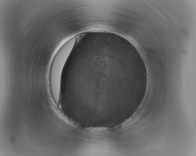 X0000110890864200907021516