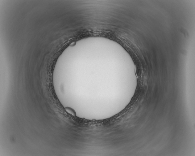 X0000110890865200907021515