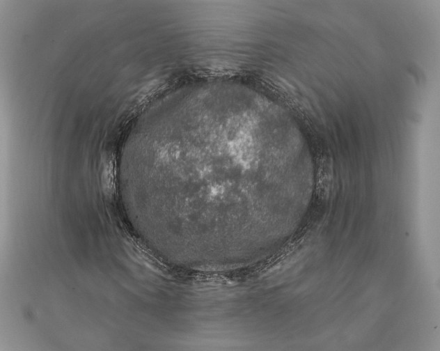 X0000110890866200907021515