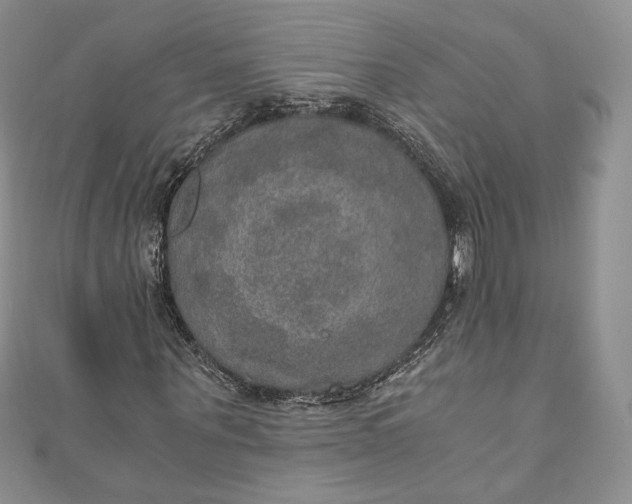 X0000110890867200907021515