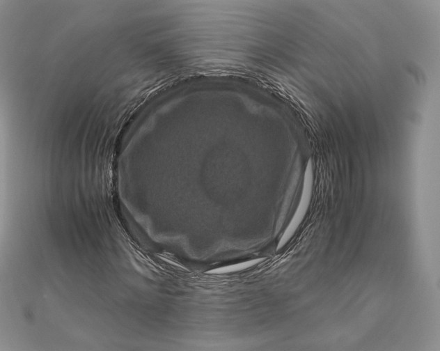 X0000110890868200907021515