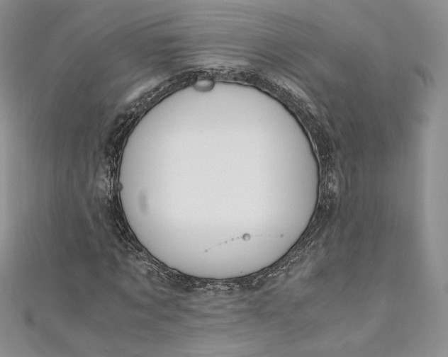 X0000110890869200907021515