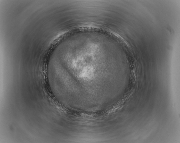 X0000110890870200907021515