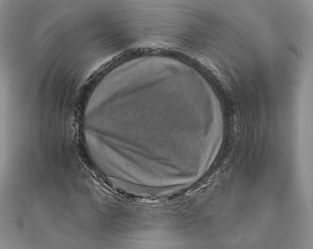 X0000110890872200907021515