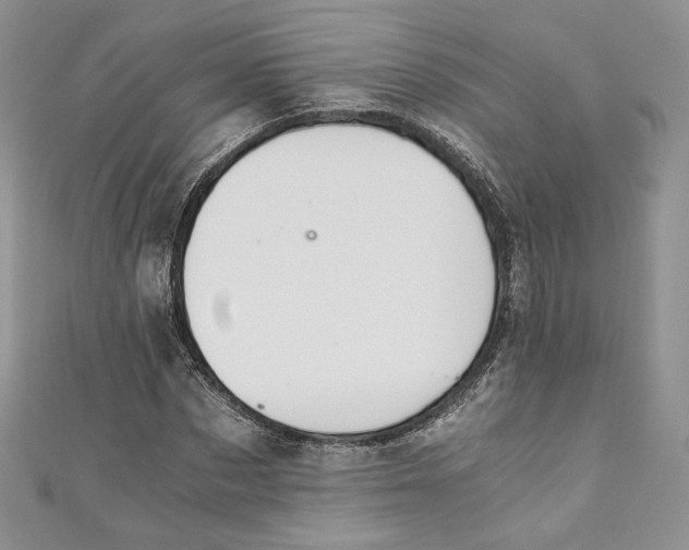 X0000110890873200907021515