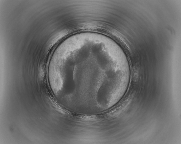 X0000110890874200907021515