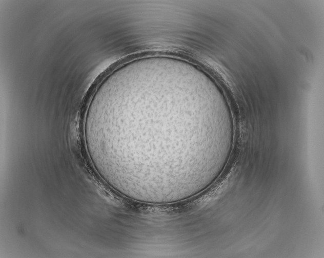 X0000110890875200907021515