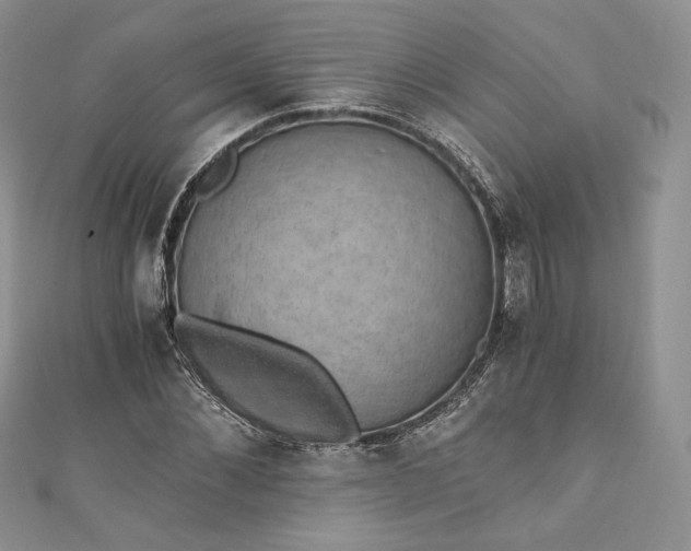 X0000110890876200907021515