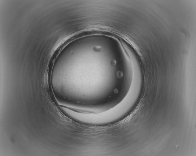 X0000110890877200907021515