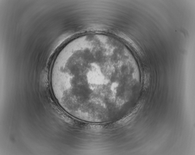 X0000110890878200907021515