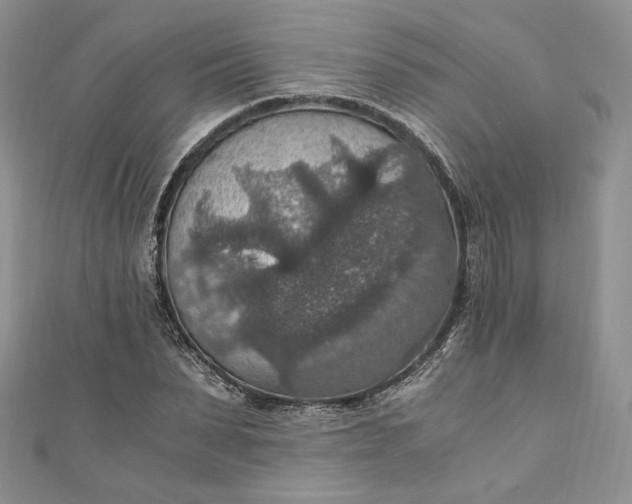 X0000110890879200907021515