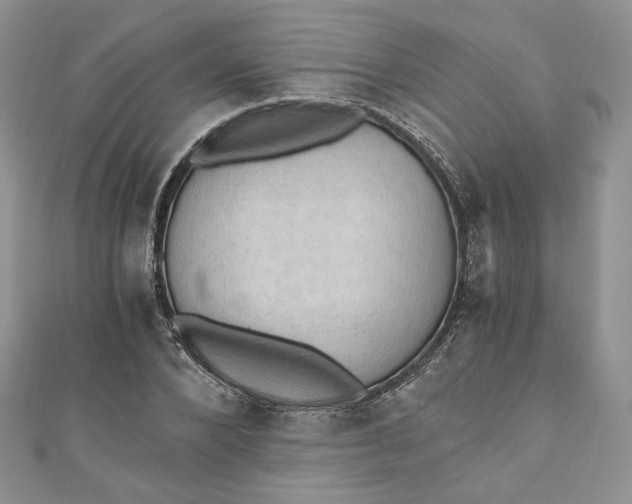 X0000110890880200907021515