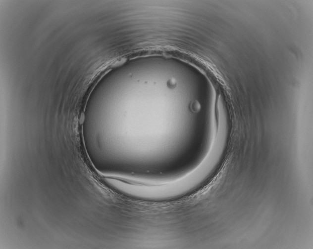 X0000110890881200907021515