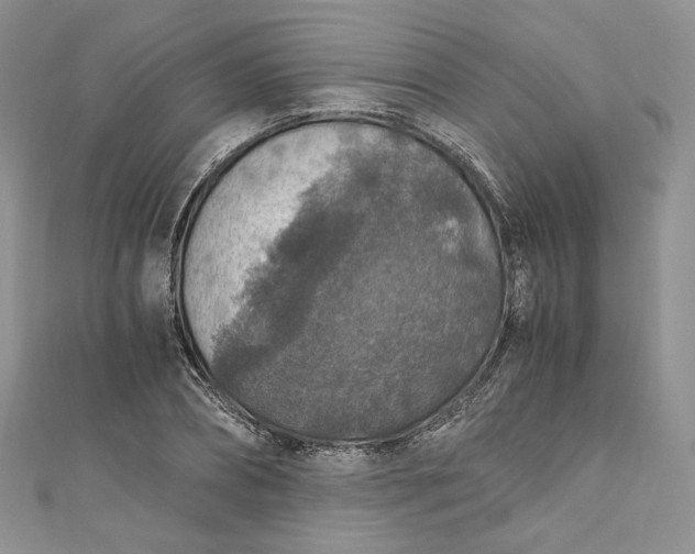 X0000110890882200907021515