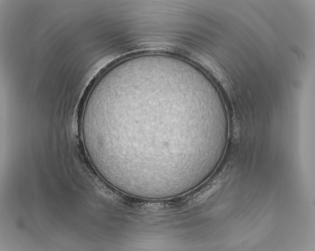 X0000110890883200907021515