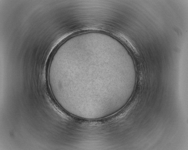 X0000110890884200907021515