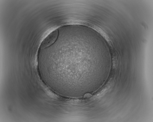 X0000110890885200907021515