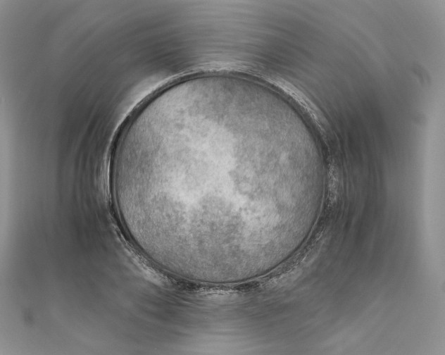 X0000110890886200907021515