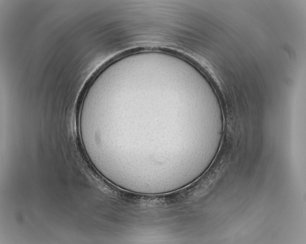 X0000110890887200907021515