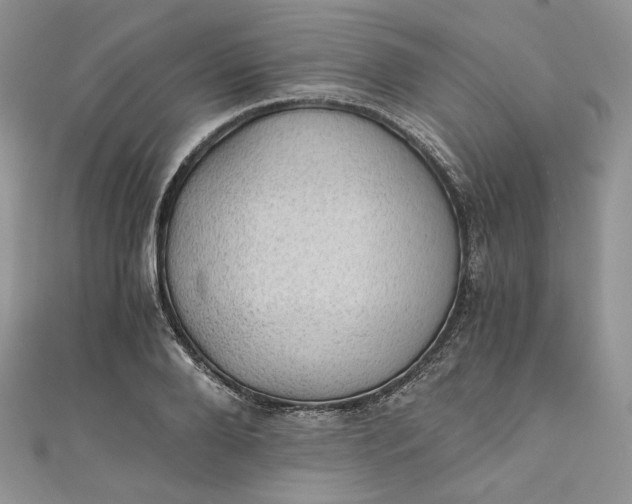 X0000110890888200907021515