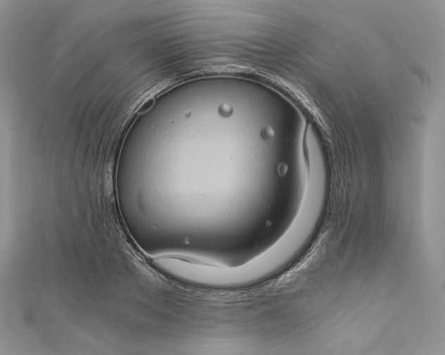 X0000110890889200907021515