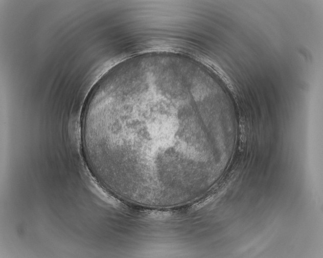 X0000110890890200907021515