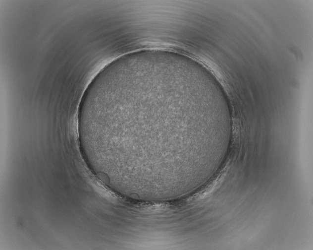 X0000110890891200907021515