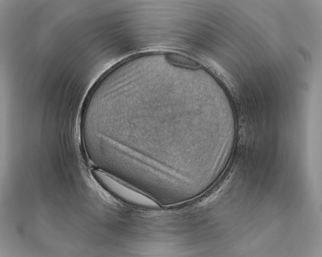 X0000110890892200907021515