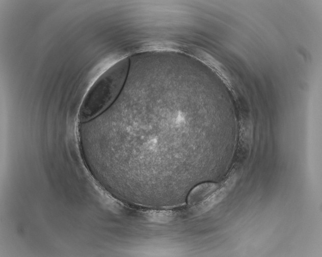 X0000110890893200907021515