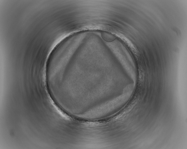 X0000110890894200907021515