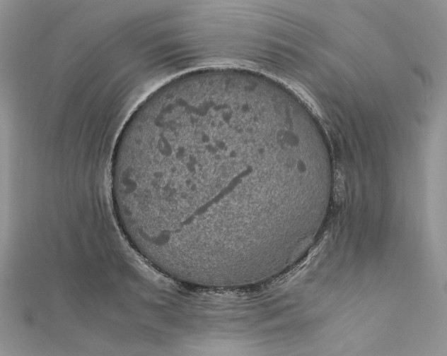 X0000110890895200907021515