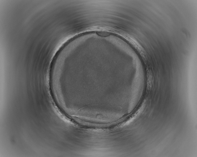 X0000110890896200907021515