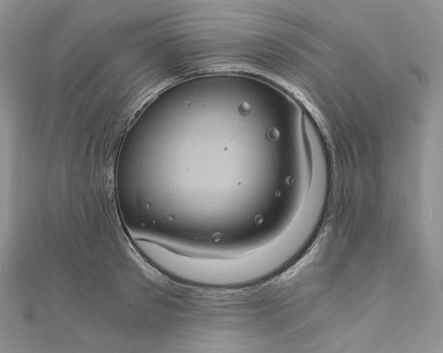 X0000110890897200907021515