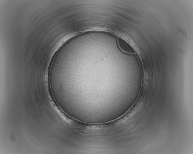 X0000110890898200907021515