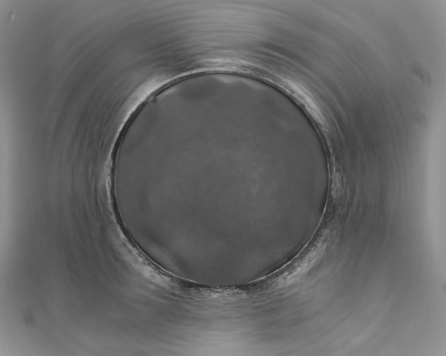 X0000110890899200907021515