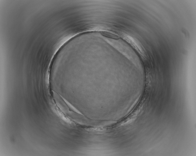 X0000110890900200907021515